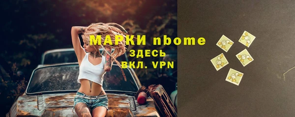 прущие грибы Медногорск