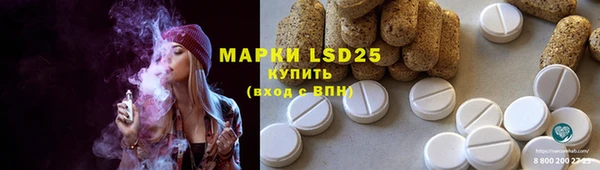 ECSTASY Медвежьегорск