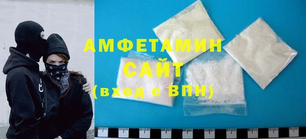 прущие грибы Медногорск