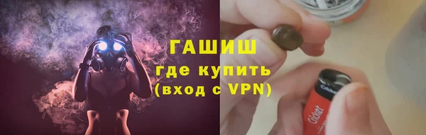 прущие грибы Медногорск
