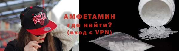 прущие грибы Медногорск