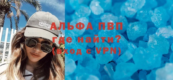прущие грибы Медногорск